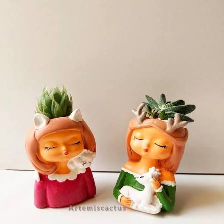 Artemis Cactus